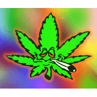 -ZC- emblem