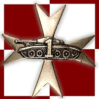I-G-I emblem