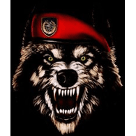 KOZAR emblem