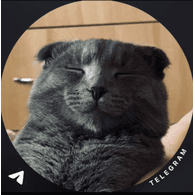 EZGO emblem
