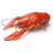 RAKS emblem