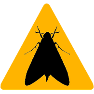 MOTHS emblem