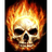 TCATY emblem