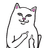 MFCAT emblem
