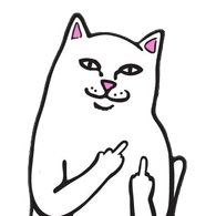 MFCAT emblem