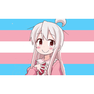 SIN emblem