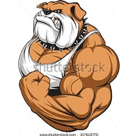 FURYD emblem