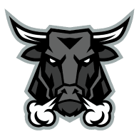 TORO emblem
