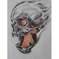 B-T-N emblem