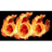 L-666 emblem