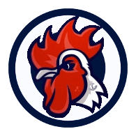 BIGOR emblem