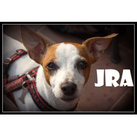 J-R-A emblem