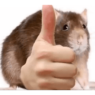 RAT emblem