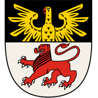 R3ICH emblem