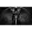DAAN emblem