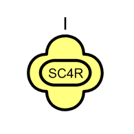 SC4R emblem