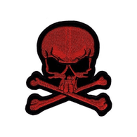 DIVIZ emblem