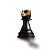 PIJUN emblem