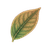 VEPRI emblem