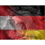 DTM emblem