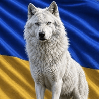 ZVIRR emblem