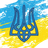 N_UKR emblem