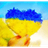 UADNS emblem