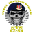 S-TS emblem