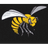 D_OCA emblem