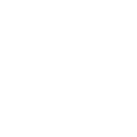 F1T emblem