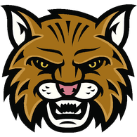 WILDX emblem