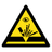 BZNG emblem