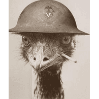 EMUES emblem
