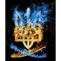 3-C-Y emblem