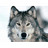 PW12 emblem