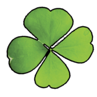 R-L-T emblem