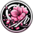 9RS emblem
