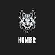 T-HN emblem
