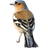 ZYABA emblem