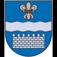 D-PIL emblem