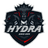 HY-C emblem
