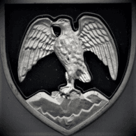 STRAJ emblem