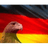 GW-F emblem