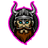 AESIR emblem