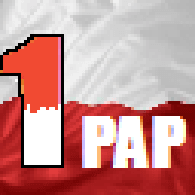 1PAP emblem