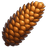 NPME emblem