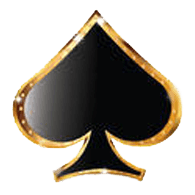 ACE-P emblem