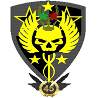 TF-45 emblem