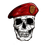 _RAS_ emblem