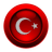 VIP-T emblem